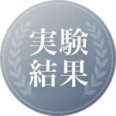 実験結果